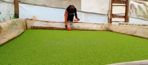 Azolla Seeds 1kg