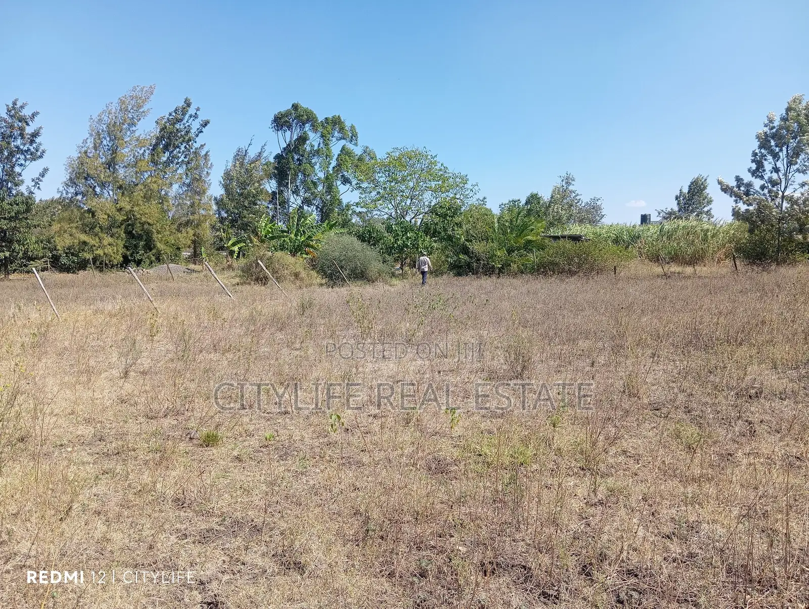 Quarter Acre Flat Land in Manyatta Ruai