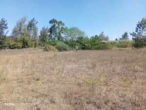Quarter Acre Flat Land in Manyatta Ruai