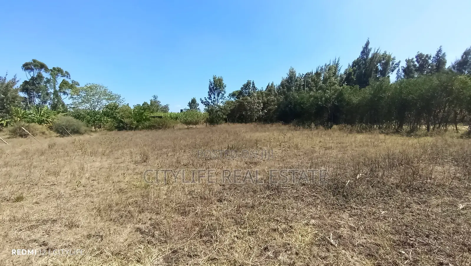 Quarter Acre Flat Land in Manyatta Ruai