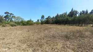 Quarter Acre Flat Land in Manyatta Ruai
