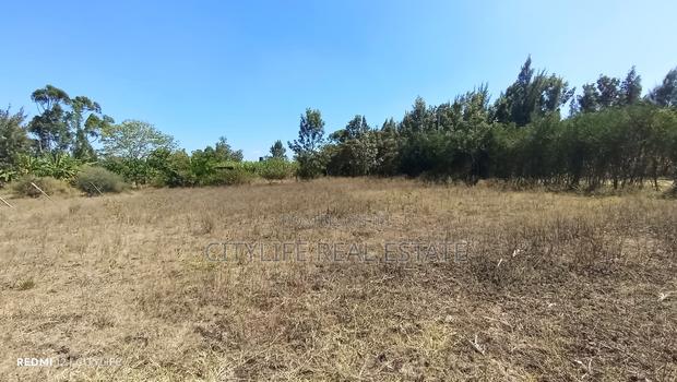 Quarter Acre Flat Land in Manyatta Ruai - thumbnail 4