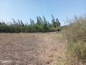 Quarter Acre Flat Land in Manyatta Ruai