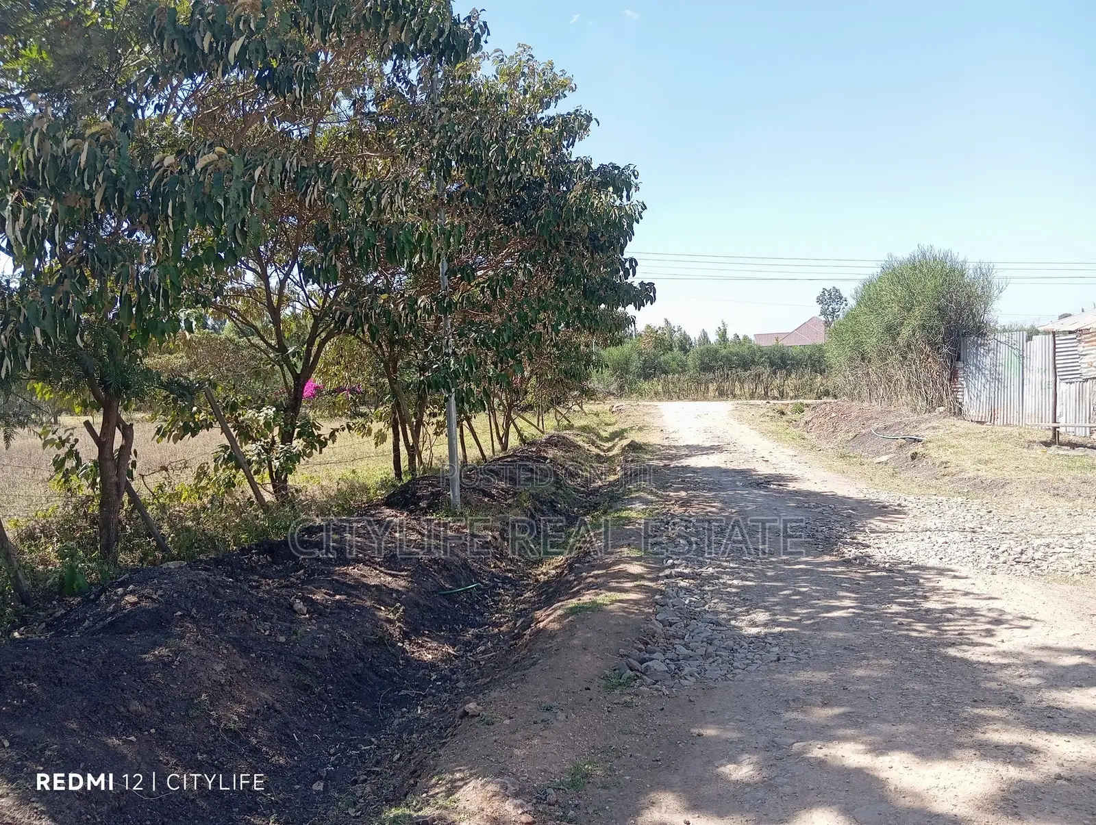 Quarter Acre Flat Land in Manyatta Ruai