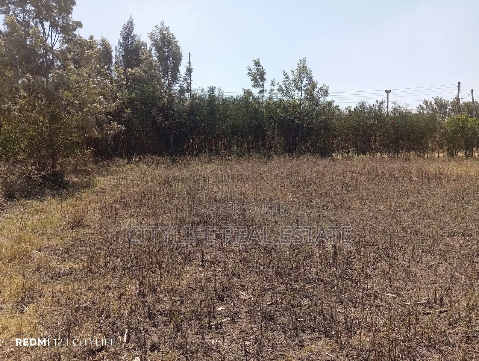 Quarter Acre Flat Land in Manyatta Ruai
