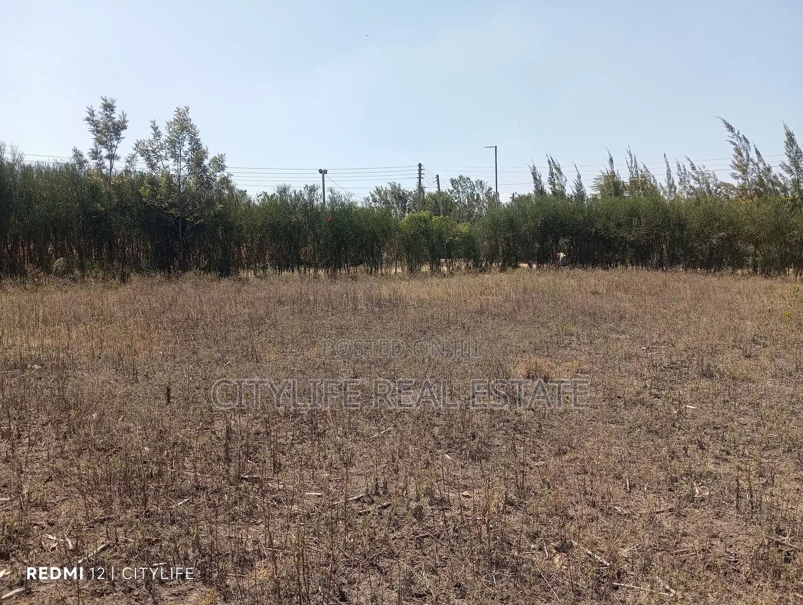 Quarter Acre Flat Land in Manyatta Ruai