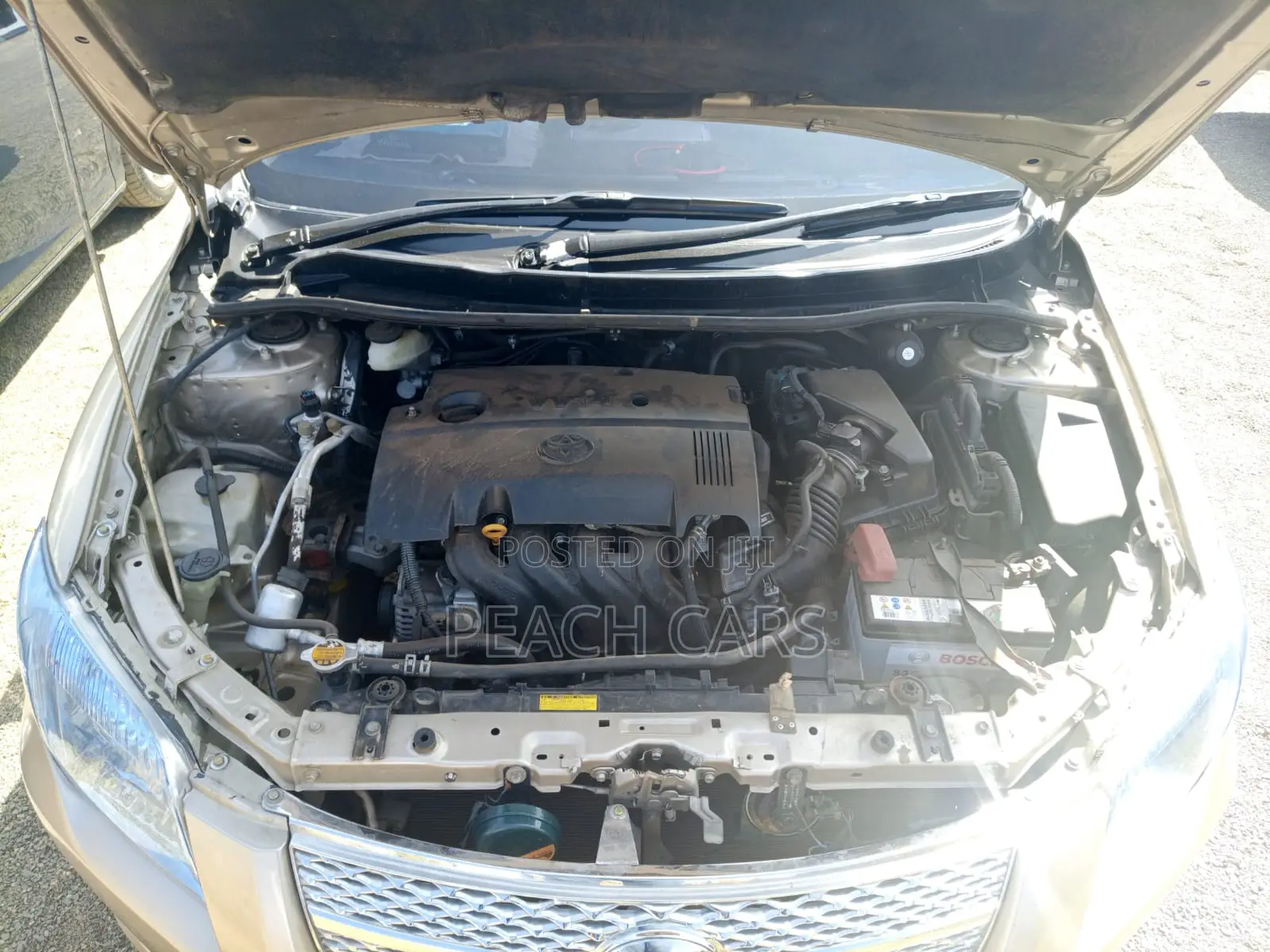 Toyota Corolla 2008 Beige