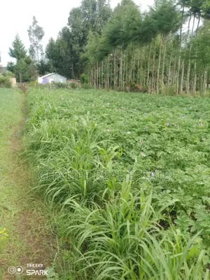 Kinangop Near Karima Girls Fertile Red Soil of 3/4 of an Acre.