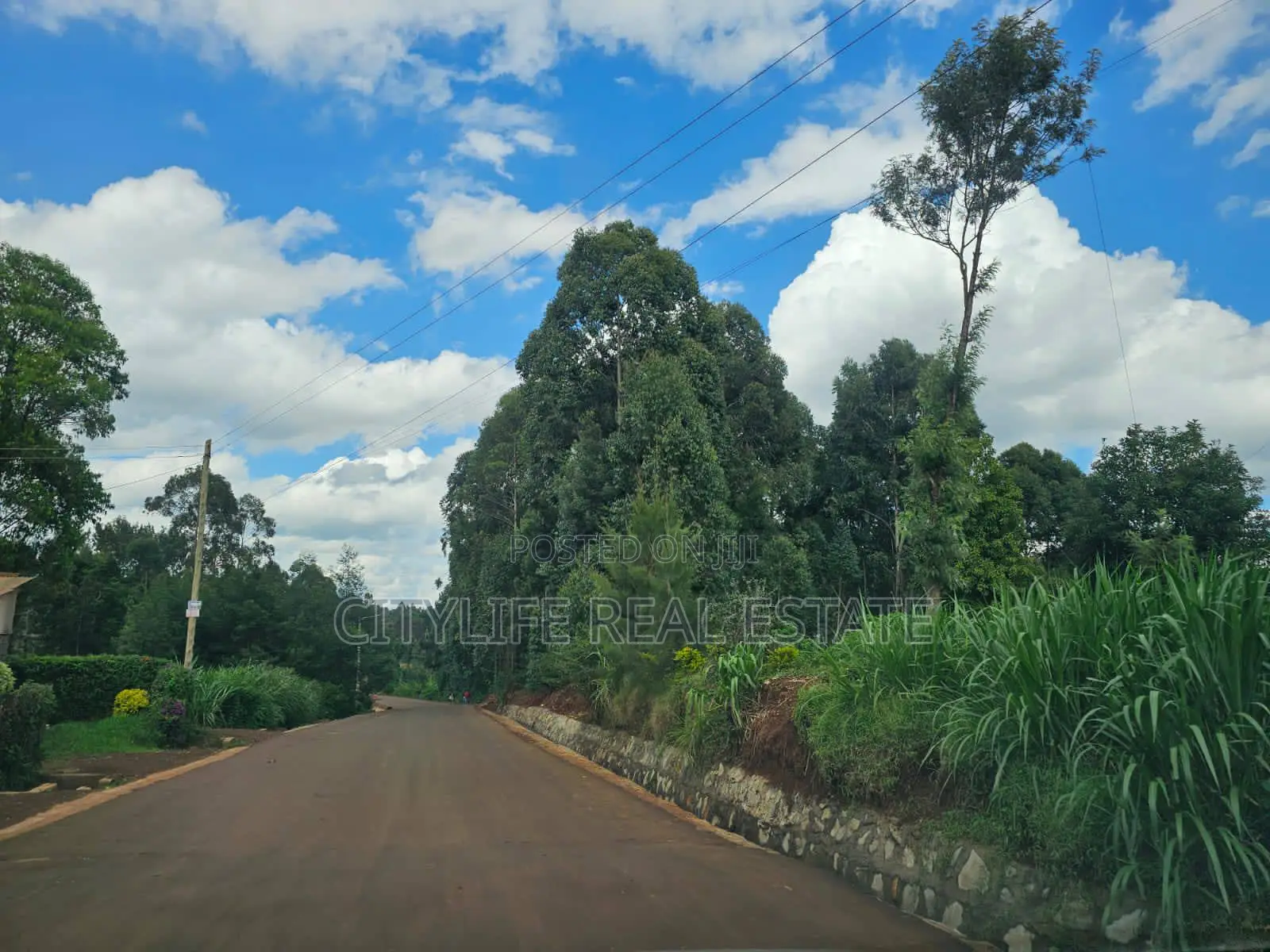 Muchatha,Two (2) Adjacent Plots, Each Plot Is 1/8 Acre