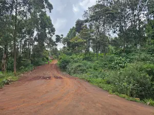 Muchatha,Two (2) Adjacent Plots, Each Plot Is 1/8 Acre