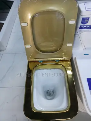 One Body Gold Coloured Toilet