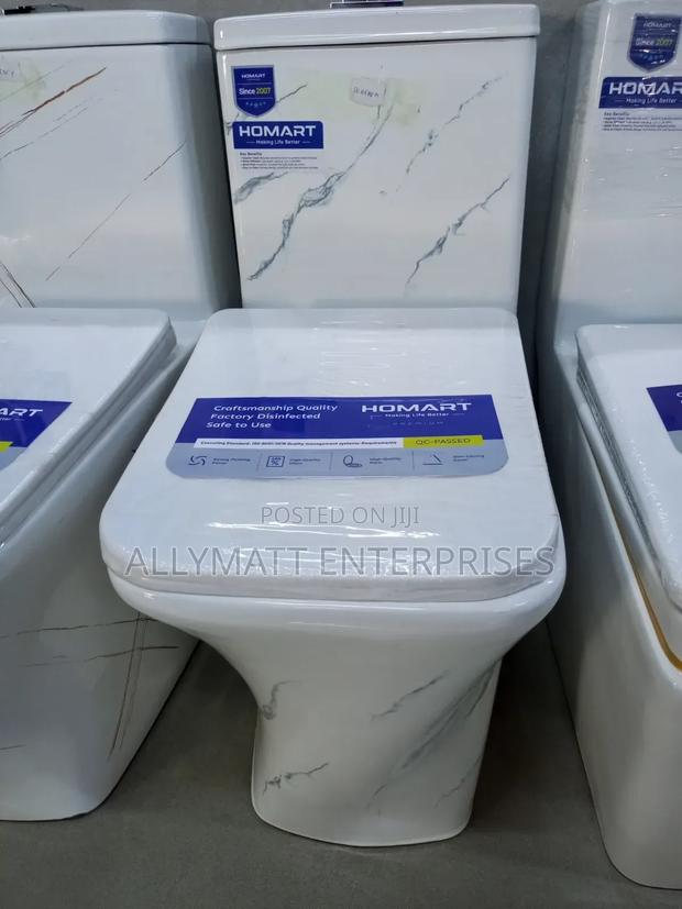 Square One Body Toilet Blue Stripes