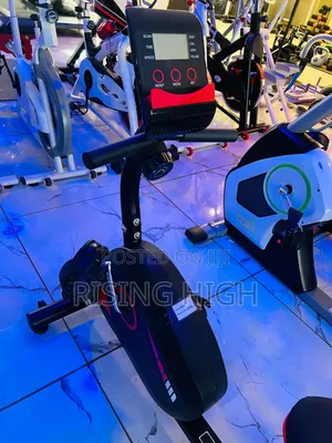 Back Support Exercise Bike For Home