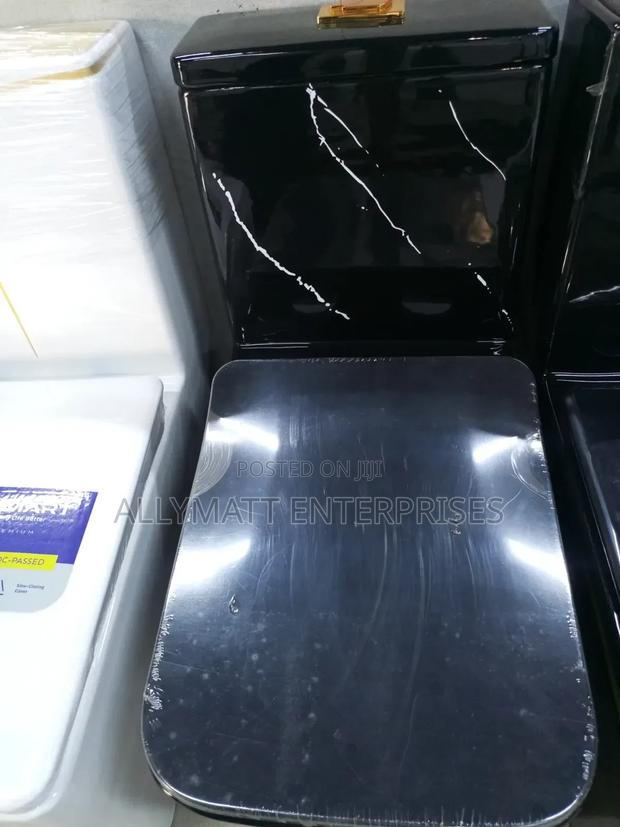 Black White Stripped One Body Toilet
