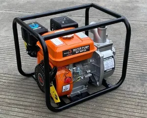 Benford-Uk Petrol Wp 2" 7.5 Hp