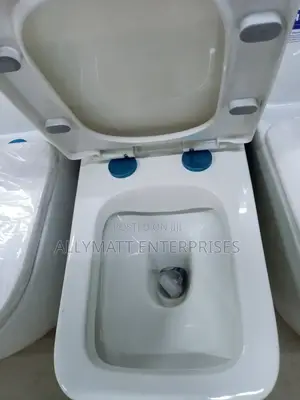 Square One Piece Toilet