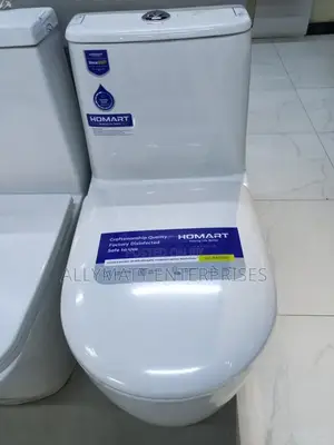 Oval One Ceramic Piece Toilet