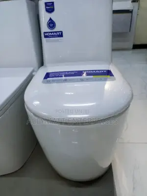 Oval One Ceramic Piece Toilet