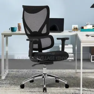 Office Ergonomic Orthopedic Chair.