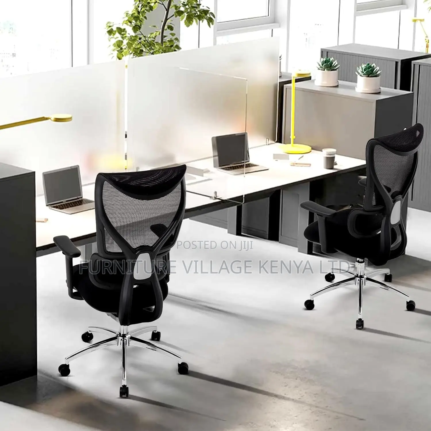 Office Ergonomic Orthopedic Chair.