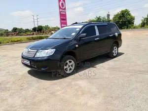 Toyota Corolla Fielder 2006 Black