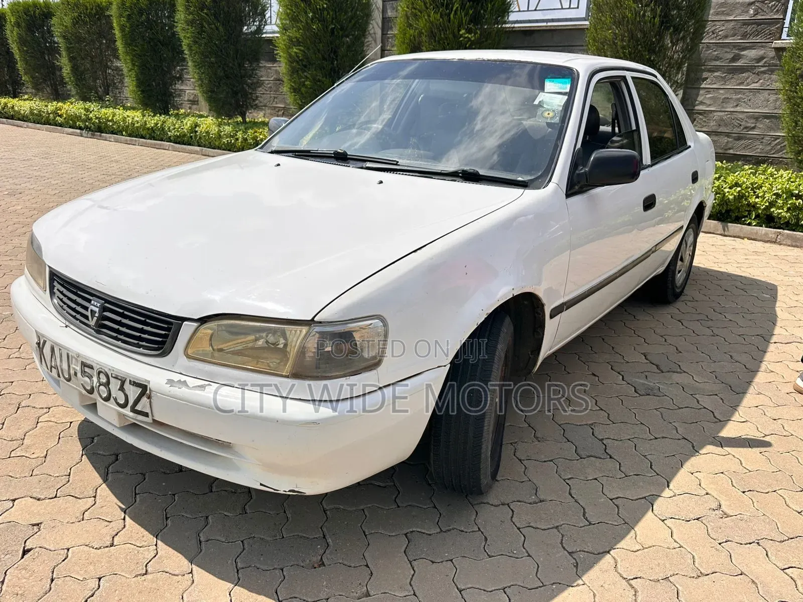 Toyota Corolla 2001 White