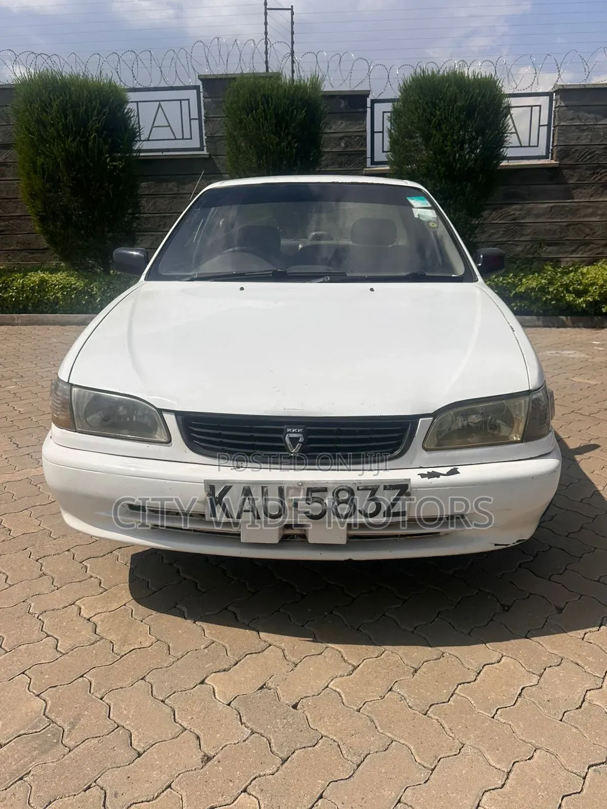 Toyota Corolla 2001 White