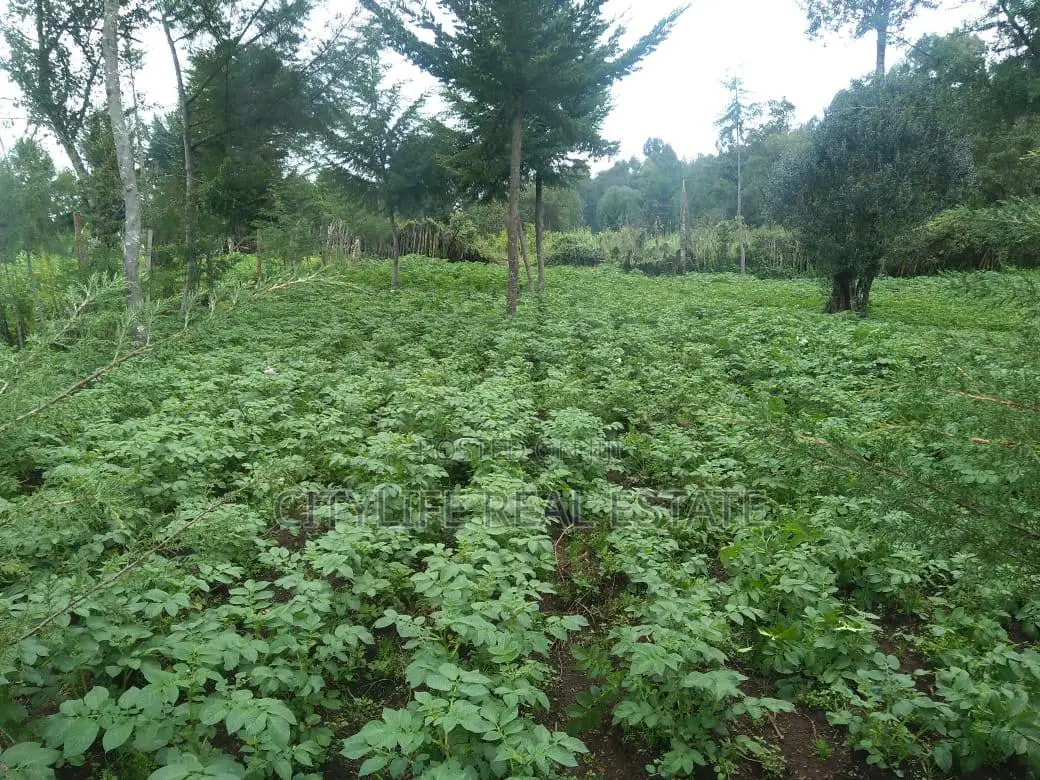 Half Acre Land in Matindiri Location Past Muchemi Primary School