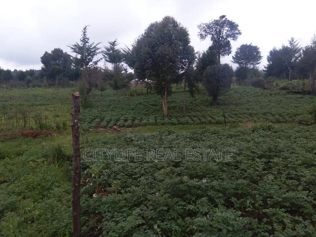 Half Acre Land in Matindiri Location Past Muchemi Primary School