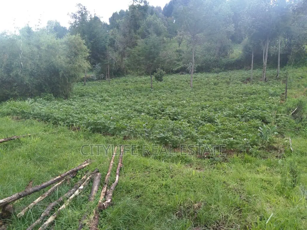 Half Acre Land in Matindiri Location Past Muchemi Primary School