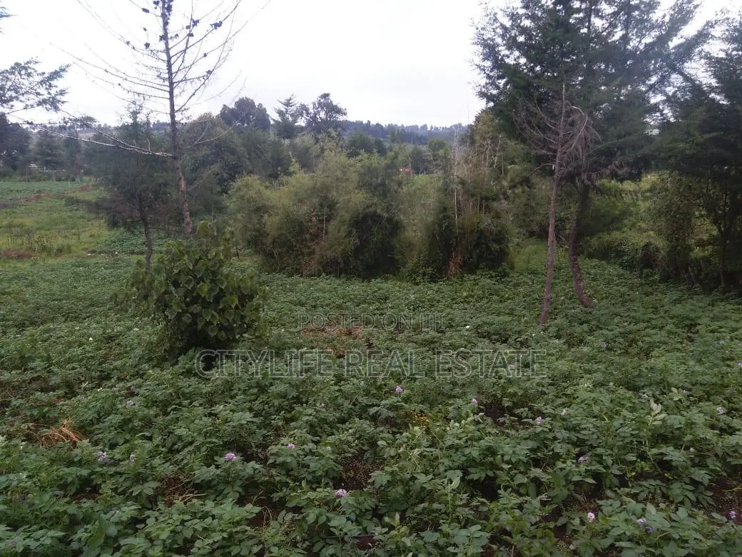 Half Acre Land in Matindiri Location Past Muchemi Primary School