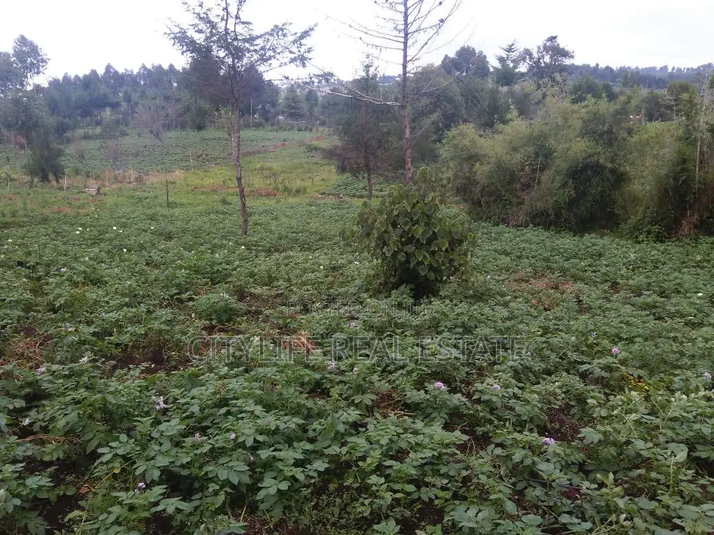 Half Acre Land in Matindiri Location Past Muchemi Primary School