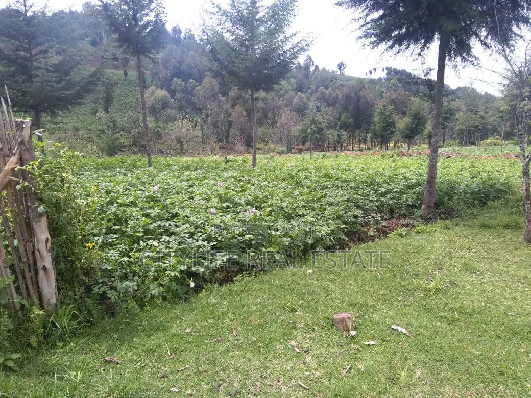 Half Acre Land in Matindiri Location Past Muchemi Primary School