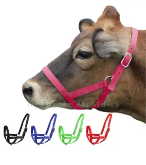 Strong Reliable Cow Harness