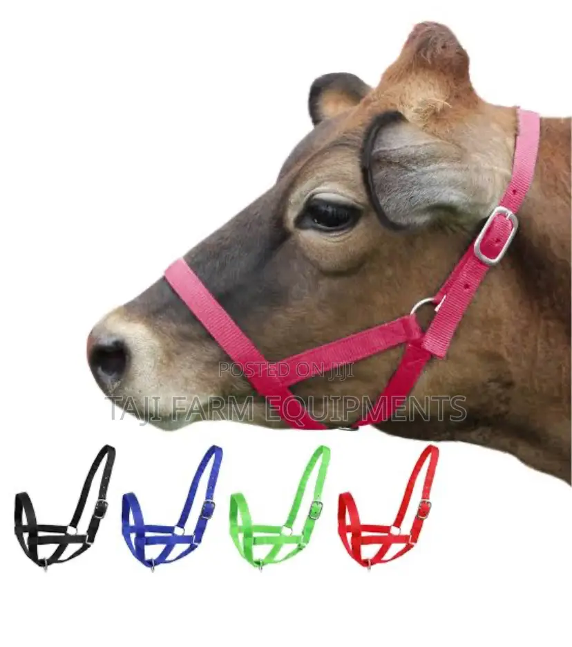 Strong Reliable Cow Harness