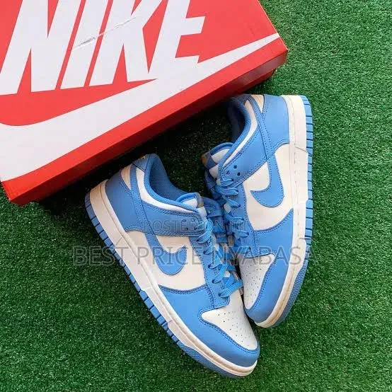 Sb Dunk Sneakers