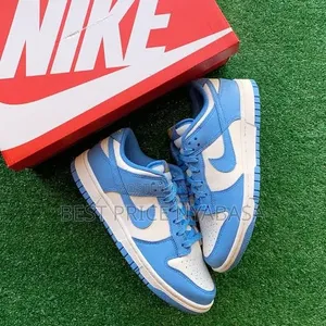 Sb Dunk Sneakers