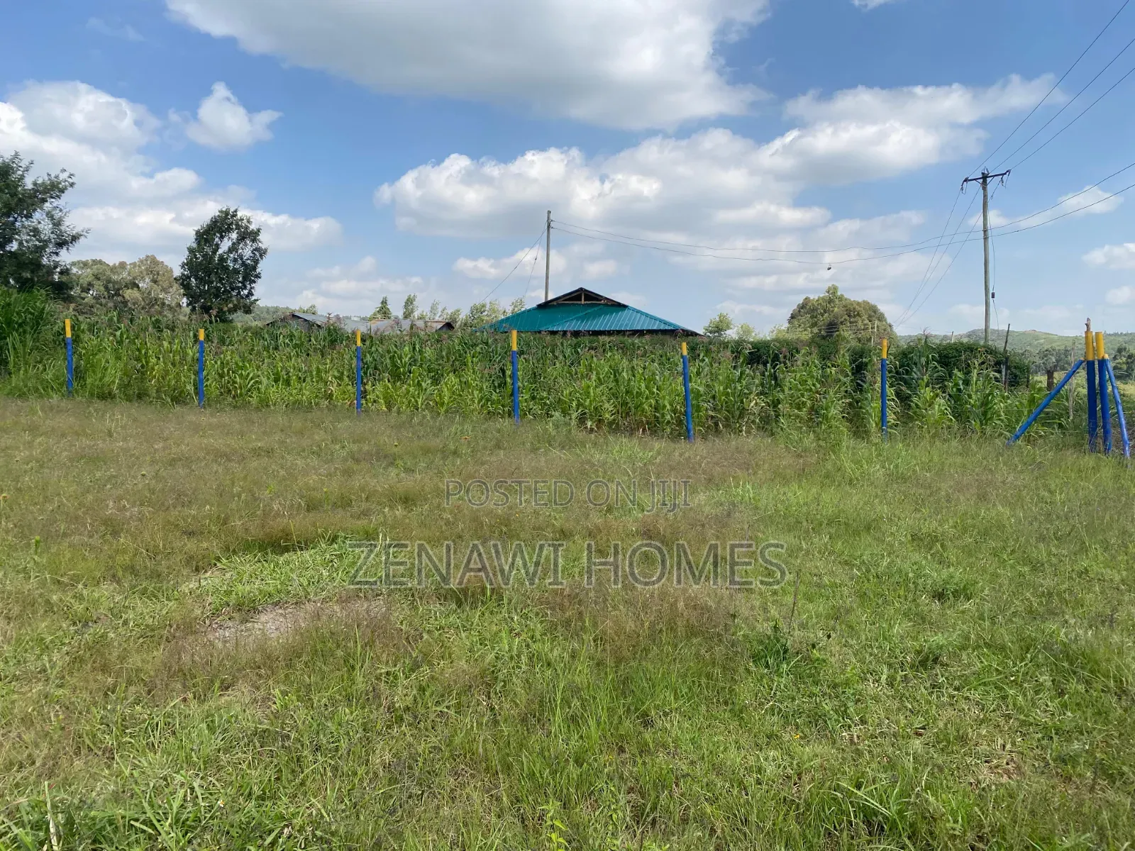 Own a Piece of Kikuyu 50 by 100 BKK