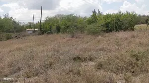 Kitengela Acacia 
40*80 Plot
