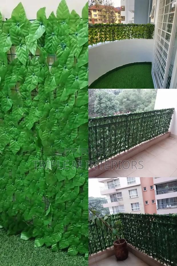 Hide the View, Not the Beauty | Premium Leafy Screens
