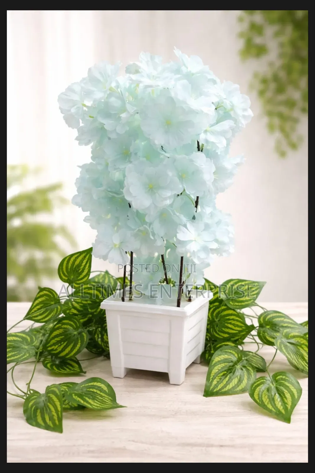 *Cherry Blossom Flowers Colors: Blue, White Size: 18cm