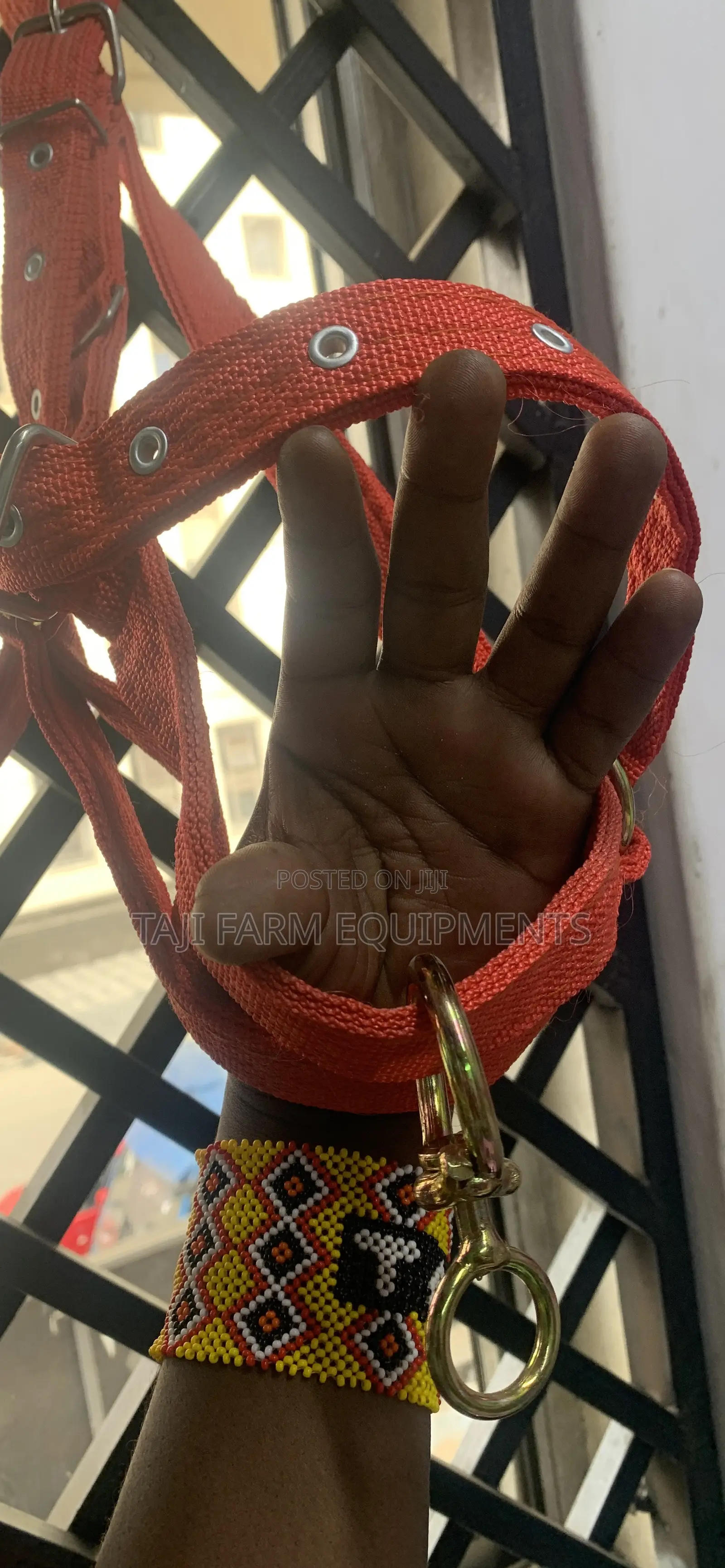 Strong Reliable Cow Harness