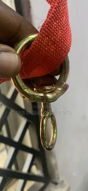 Strong Reliable Cow Harness