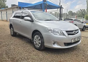 Toyota Corolla Fielder 2007 Silver
