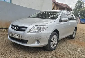 Toyota Corolla Fielder 2007 Silver