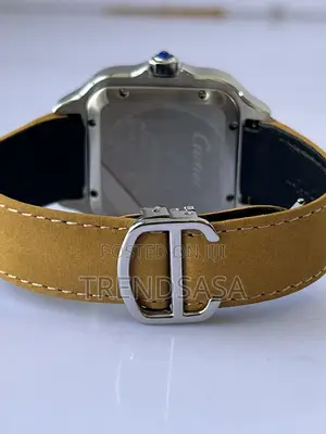 Cartier Santos Mustard Straps Watch