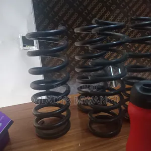 Heavy Springs