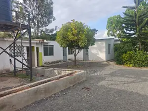 Property for Lease