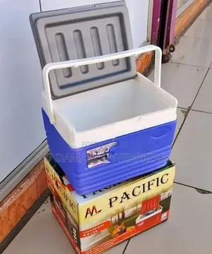 Cooler Box 4.5 Litres Compact Cooling Power for Everyday Adventures