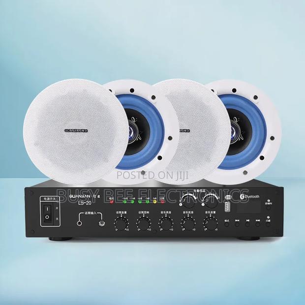 Two-Zone Constant Pressure Amplifier Ceiling Speaker - thumbnail 2